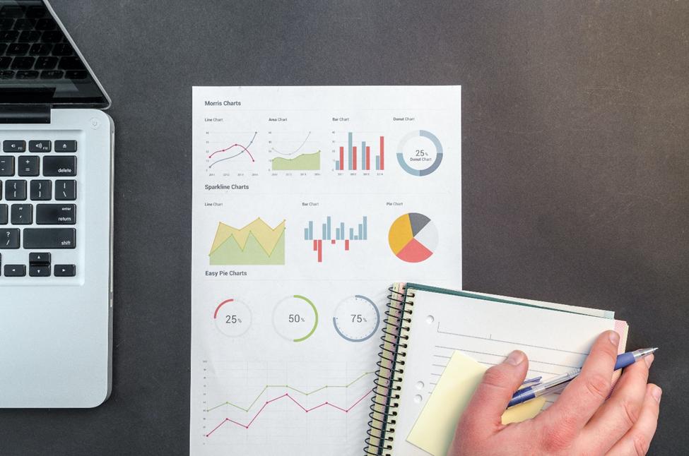 A person analyzing financial statements